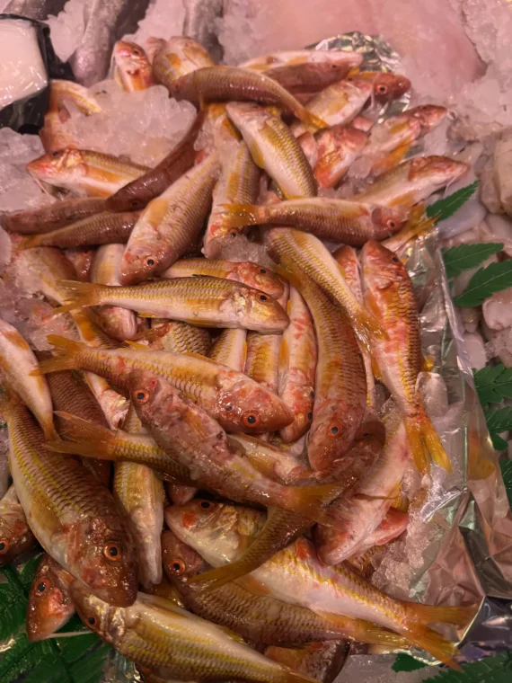 salmonetes santa pola