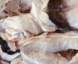 cocochas de merluza