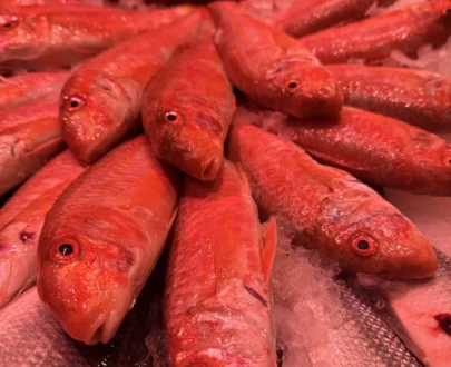 salmonetes de roca